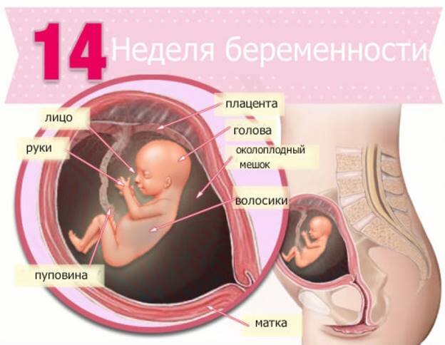 Какие выделения опасны для беременных — блог медицинского центра ОН Клиник