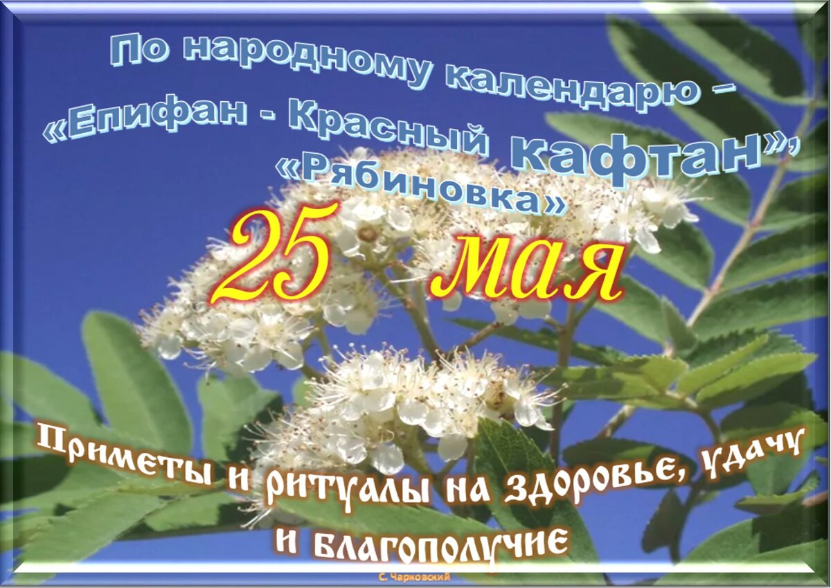 Праздники 25 июля 2024г. 25 Мая праздник. 25 Какой праздник. 25 Мая праздник картинки. Праздники 25 мая 2023.