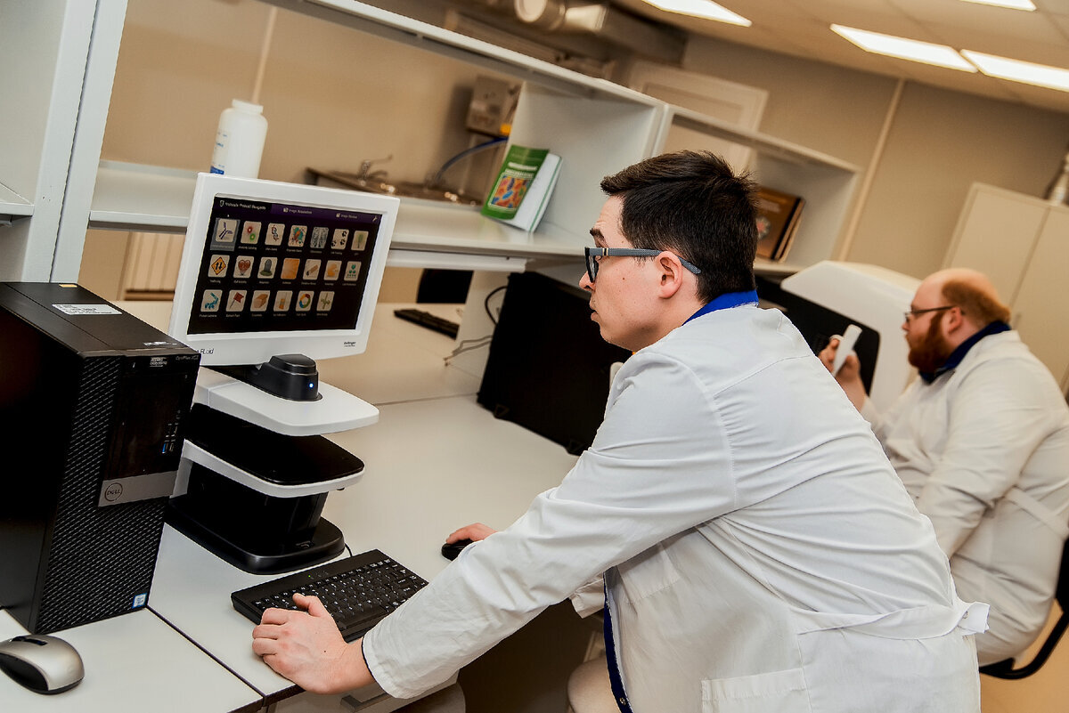 Добавьте описание