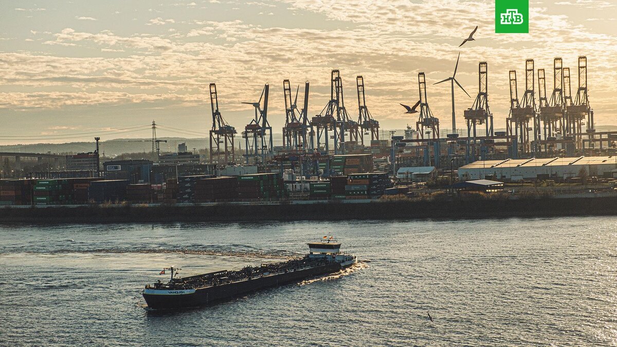    Фото: Moritz Kindler / unsplash.com