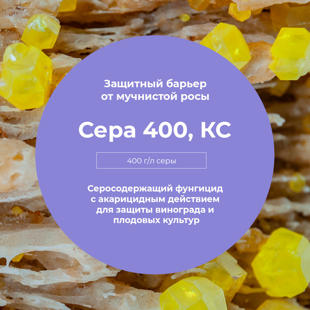 Сера 400 кс инструкция по применению. Сера 400 КС. Сера КС 400 канистра. Дифломайт. Кинокс 400 мг.
