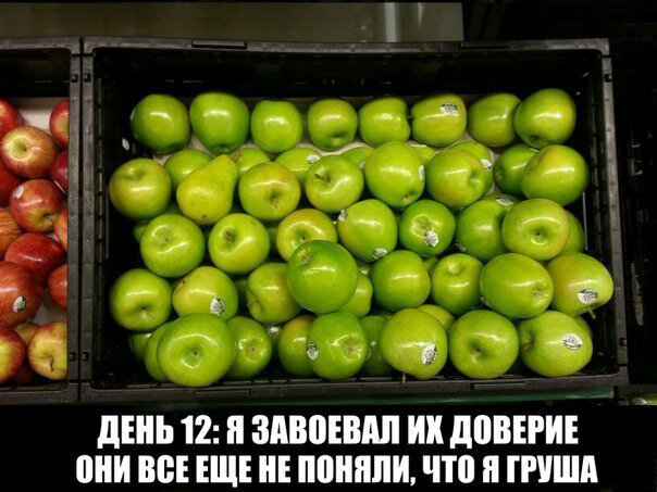Шутка-минутка. Картинка из недр интернета.