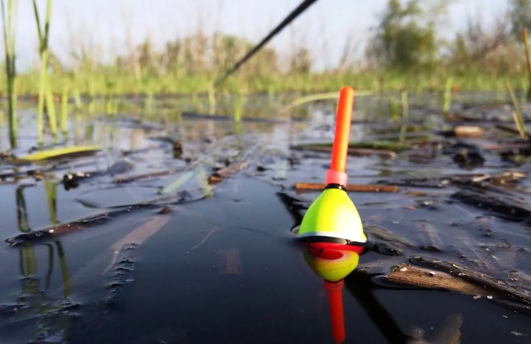 Поплавок в воде картинка