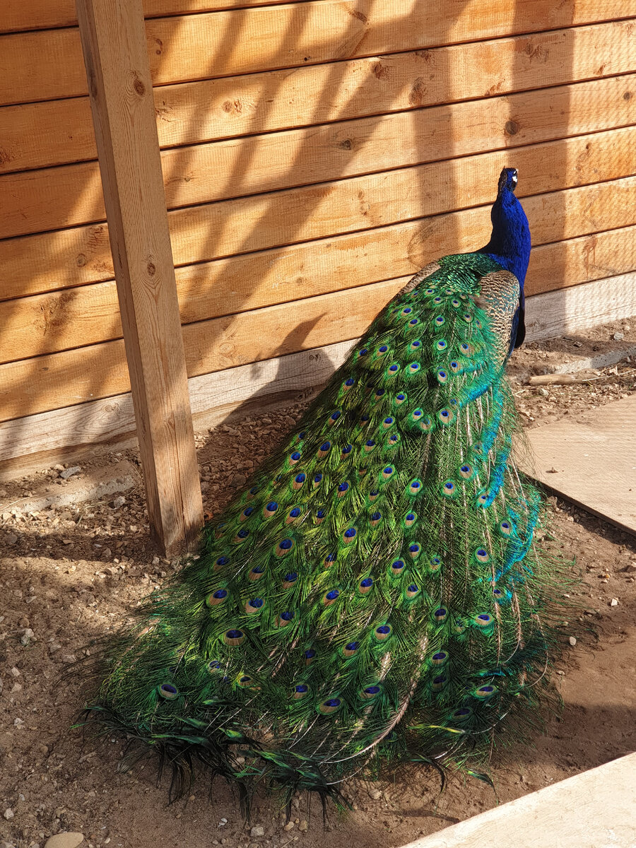 Красота же, правда?