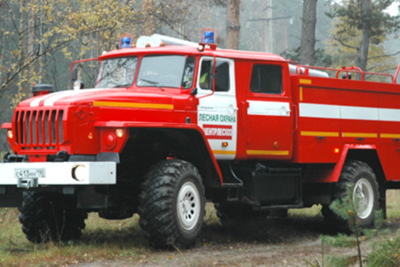    Лесная охрана Московской области ©Комитет лесного хозяйства Московской области Фото