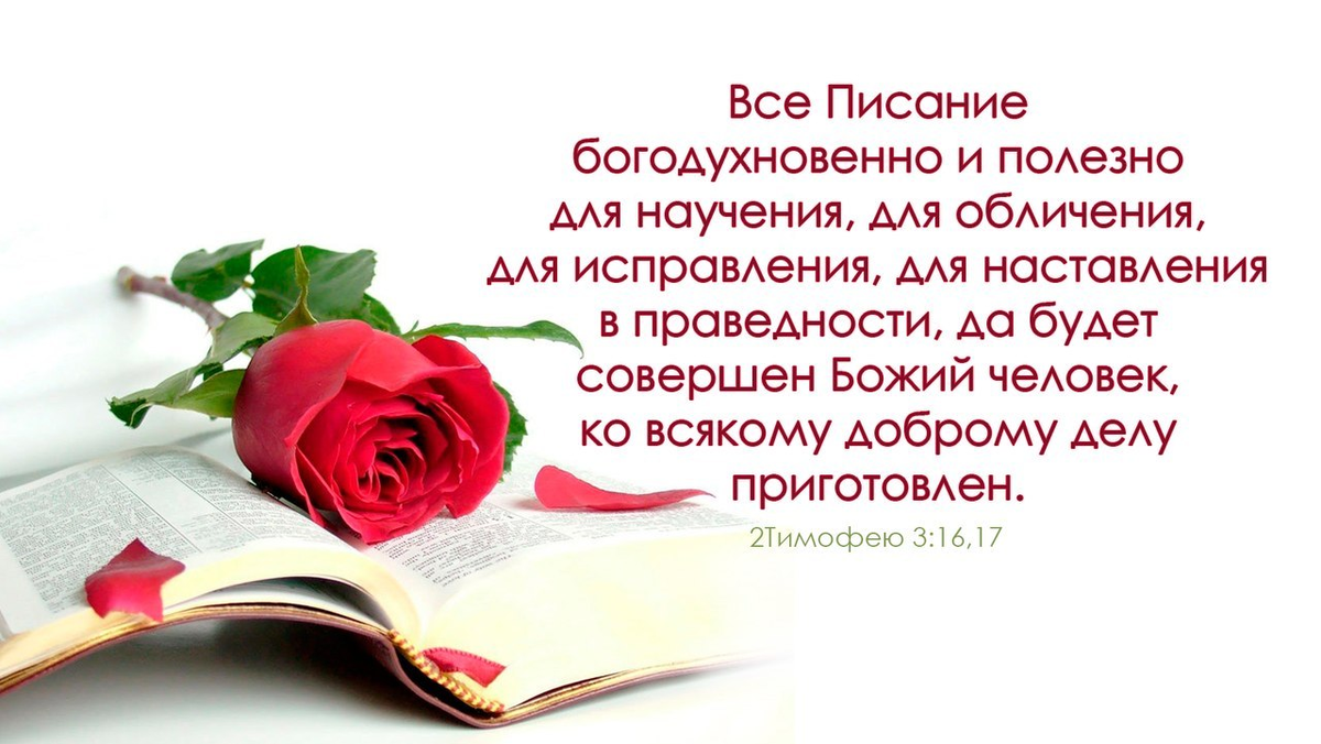 Афоризм с назиданием 7 букв на м. Писание богодухновенно и полезно для научения. Всё Писание богодухновенно и полезно для научения для обличения. Все Писание богодухновенно и полезно. Всё Писание богодухновенно и полезно для научения Библия.