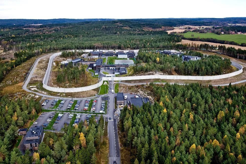 Обратите внимание на лес за забором. В нем можно гулять.