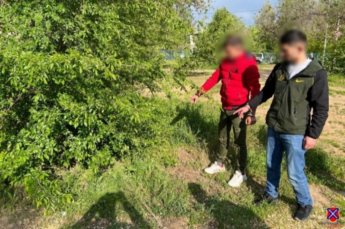    В Волгограде задержали «закладчиков» наркотиков