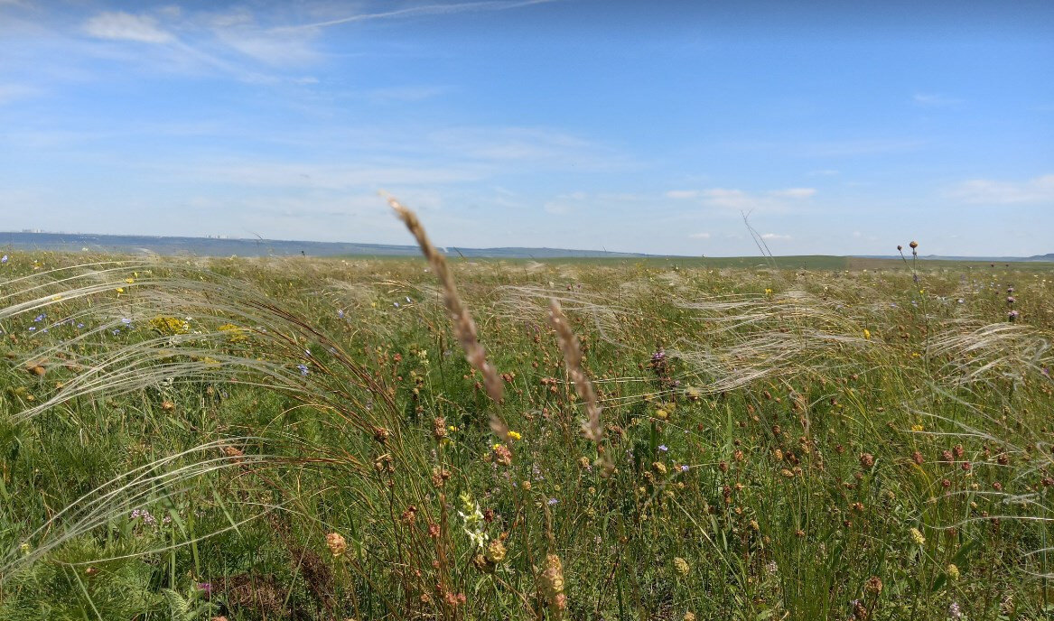   ГТРК "Ставрополье"