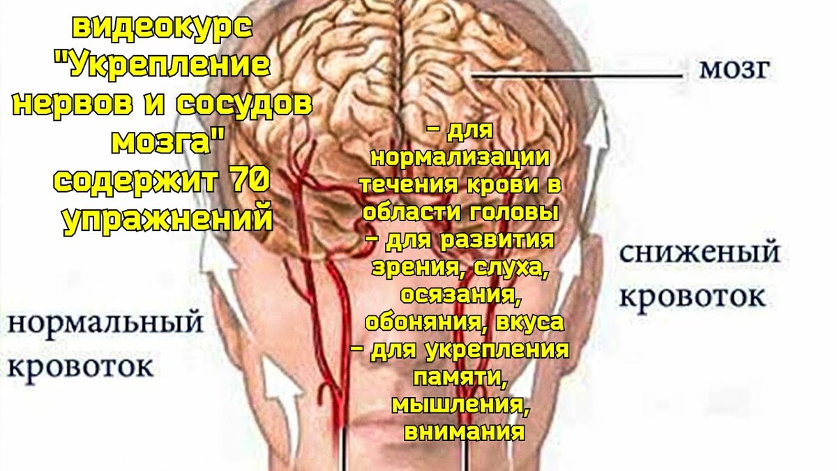 Шейно мозговой