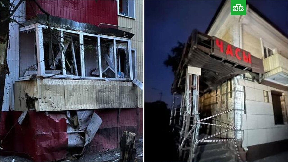    Фото: @vvgladkov / t.me