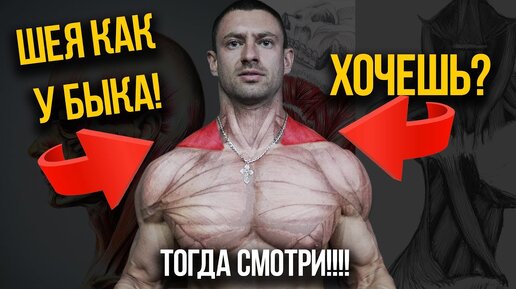 Download Video: Шея как у БЫКА без походов в зал! Нужны лишь две табуретки и аптечный жгут. Показываю упражнения