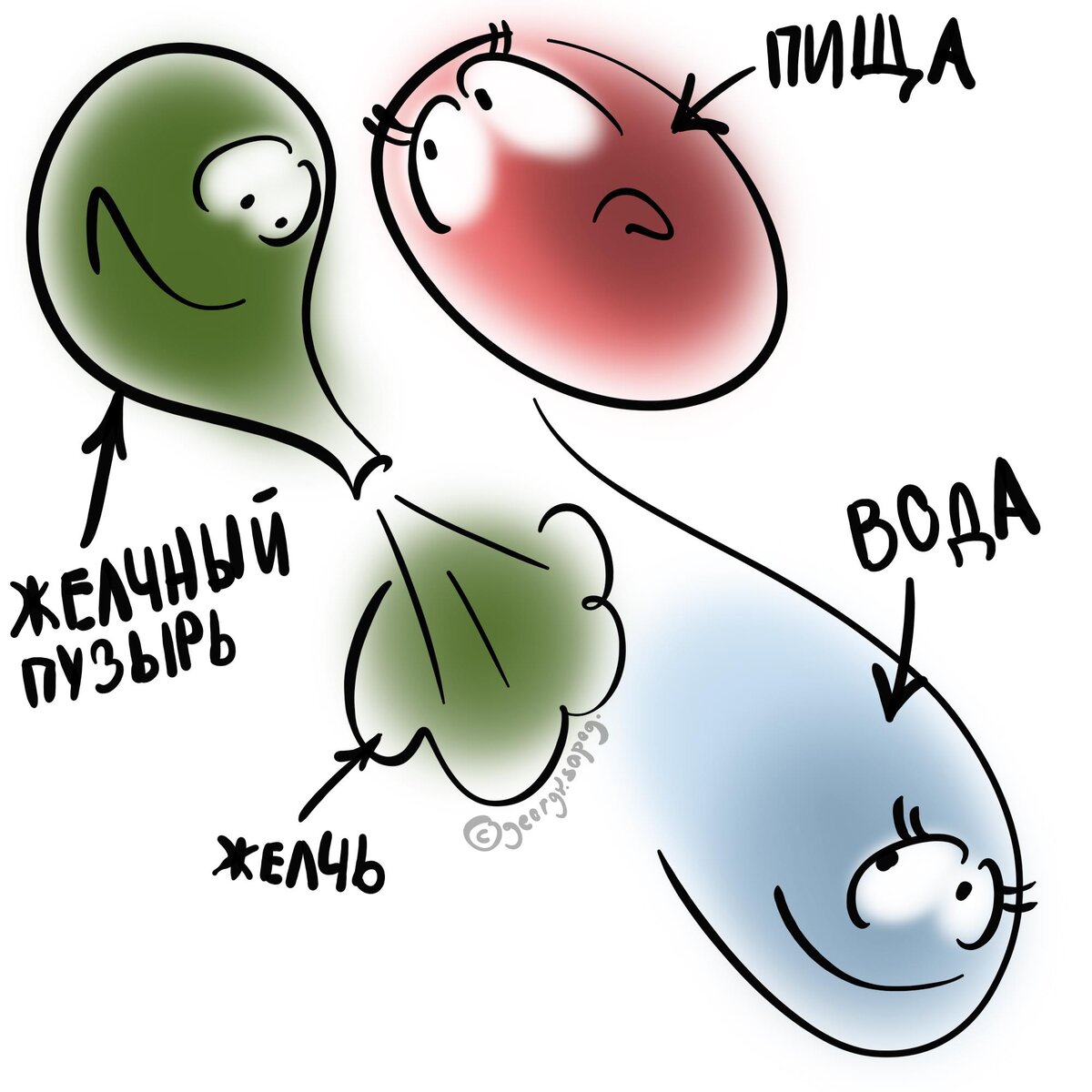 Стол 5а после удаления желчного