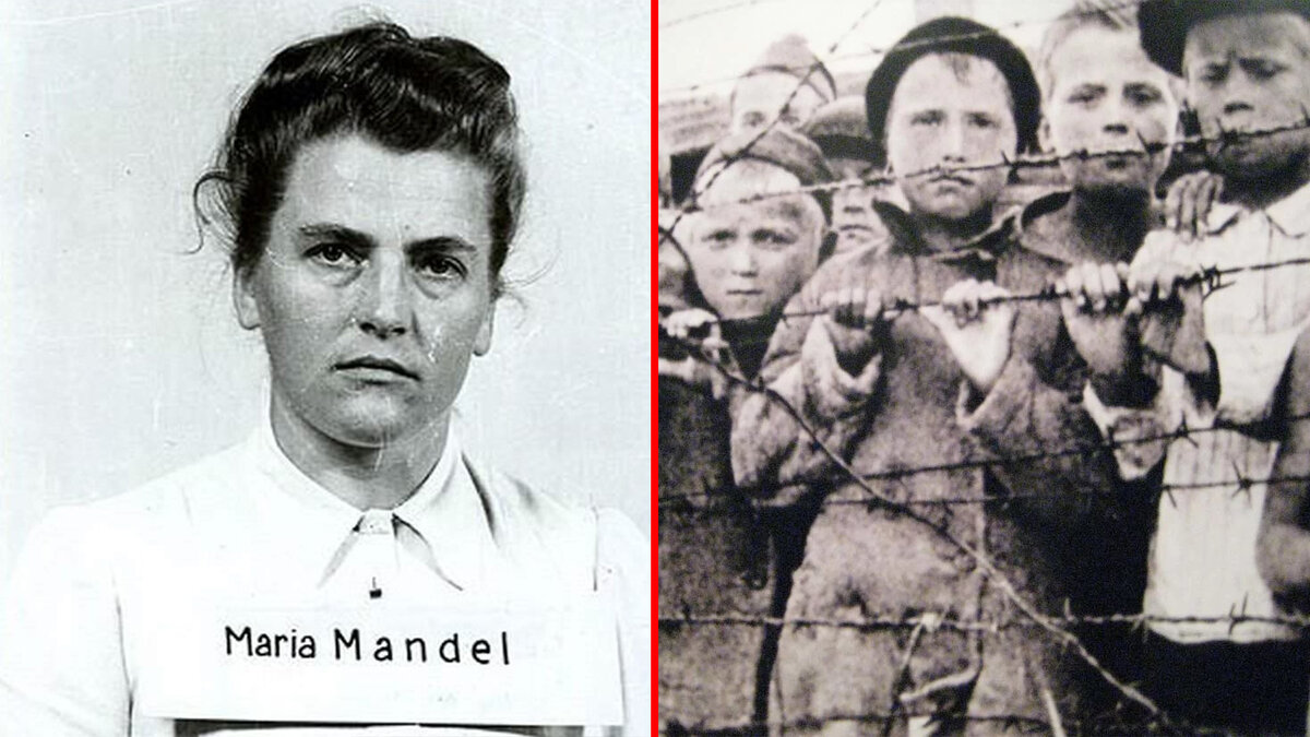 М мандель. М мандель. М мандель. М мандель. М мандель.