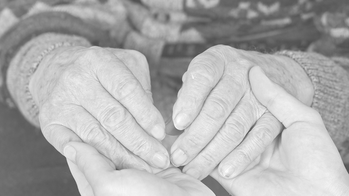 Яндекс. Картинки. 