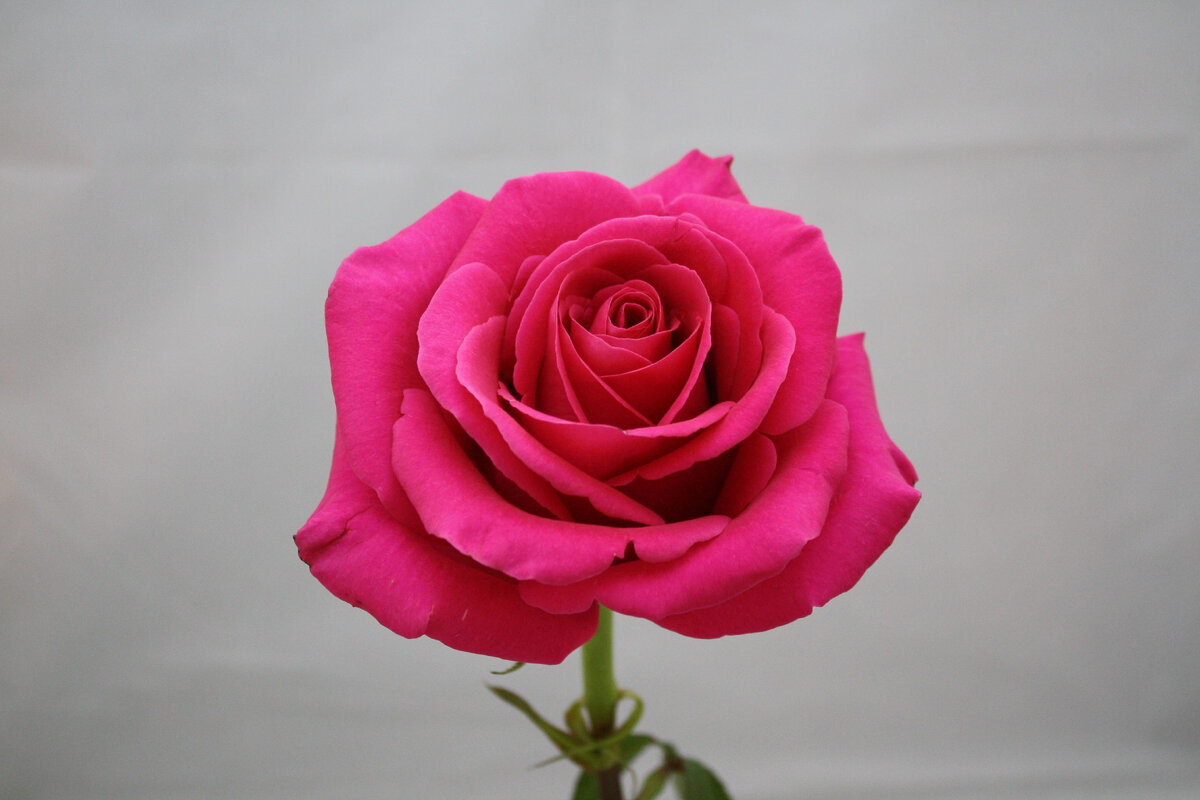 Фото из свободных интернет-источников.