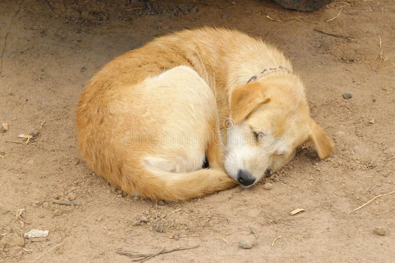 Похоже на @