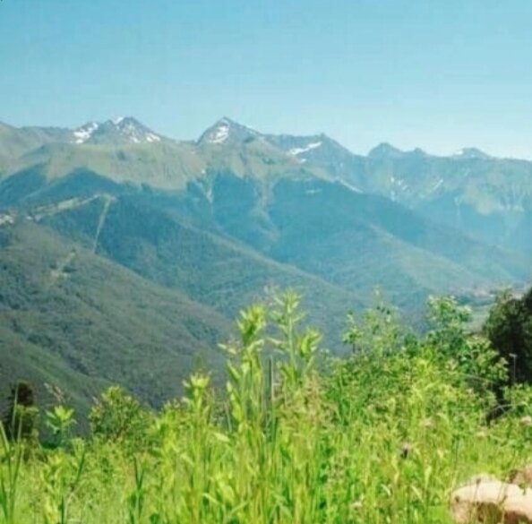 Где-то в горах Сочи