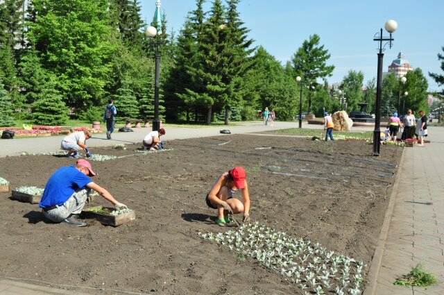   Одно из основных направлений трудоустройства школьников - благоустройство и озеленение общественных территорий. Фото:  АиФ/ Александра Горбунова