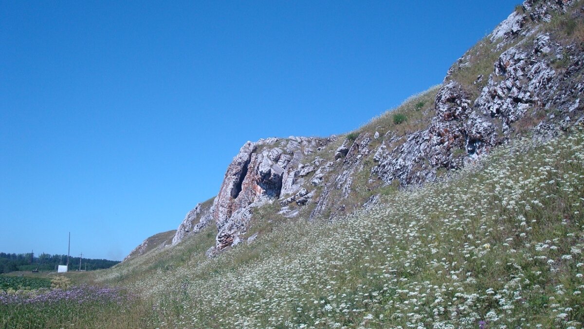 ИА SM News Екатеринбург📷

