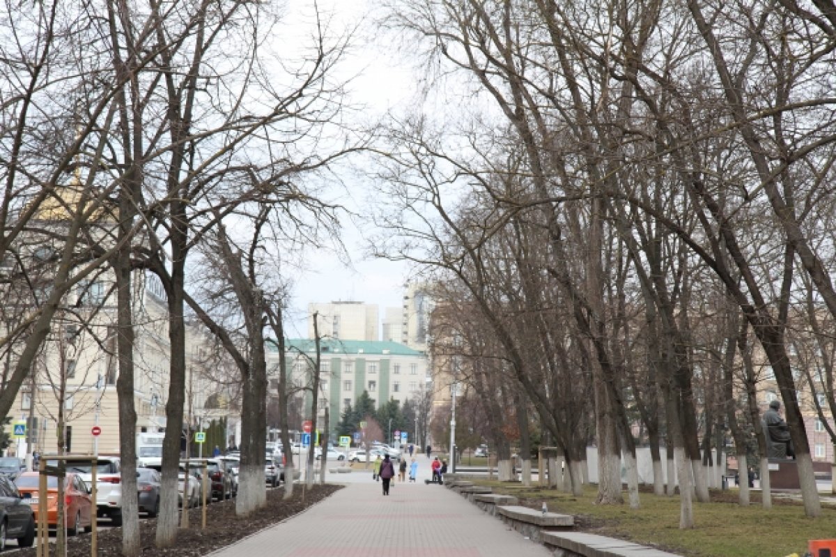    Жители Белгорода рассказали о взрыве в районе Харьковской горы