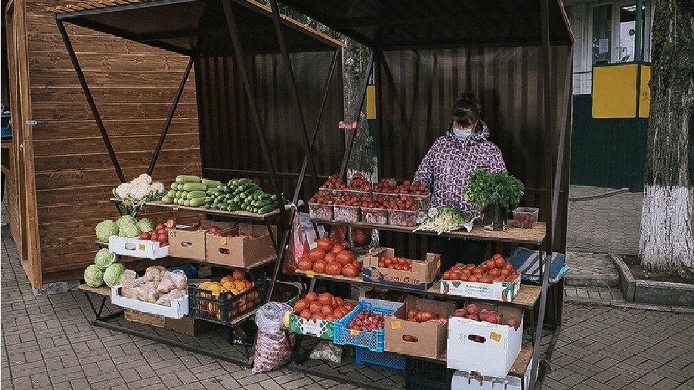     Депутат Госдумы Никита Чаплин напомнил, что стихийная продажа урожая в России незаконна. В Тюменской области дачников-предпринимателей могут оштрафовать.