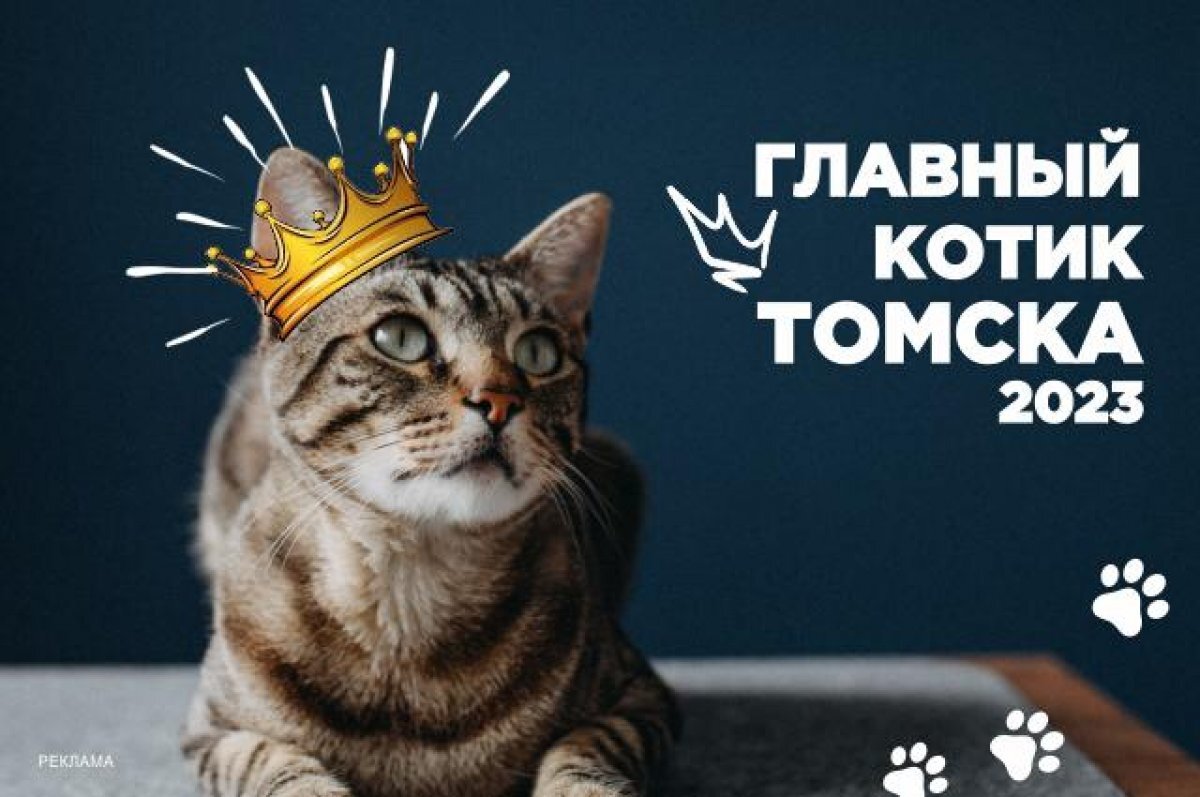    Открыто голосование за финалиста 12-й недели "Главного котика Томска 2023"