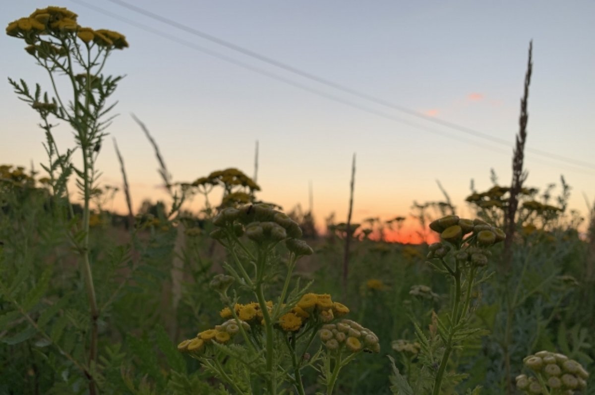    В Свердловской области на этой неделе резко похолодает