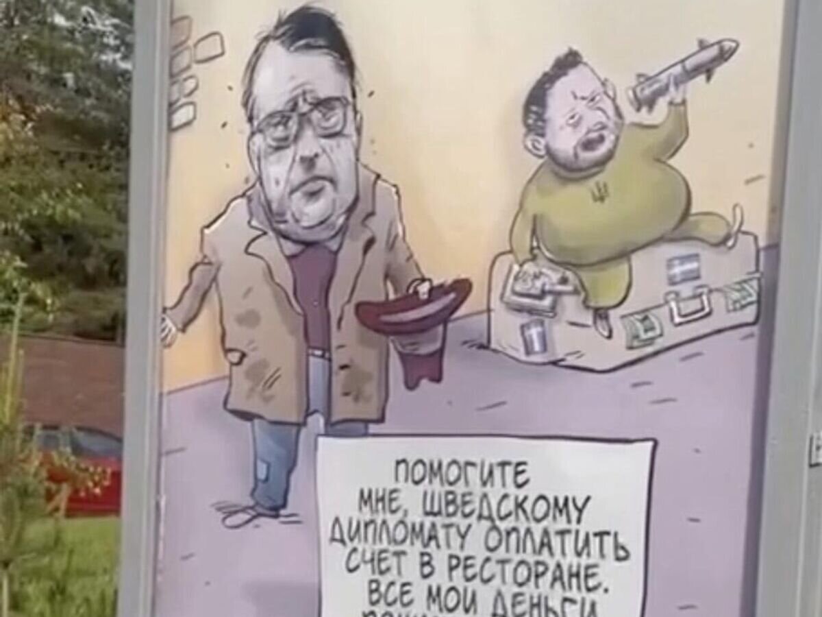    Карикатура у посольства Швеции в Москве. Кадр видео© РИА Новости