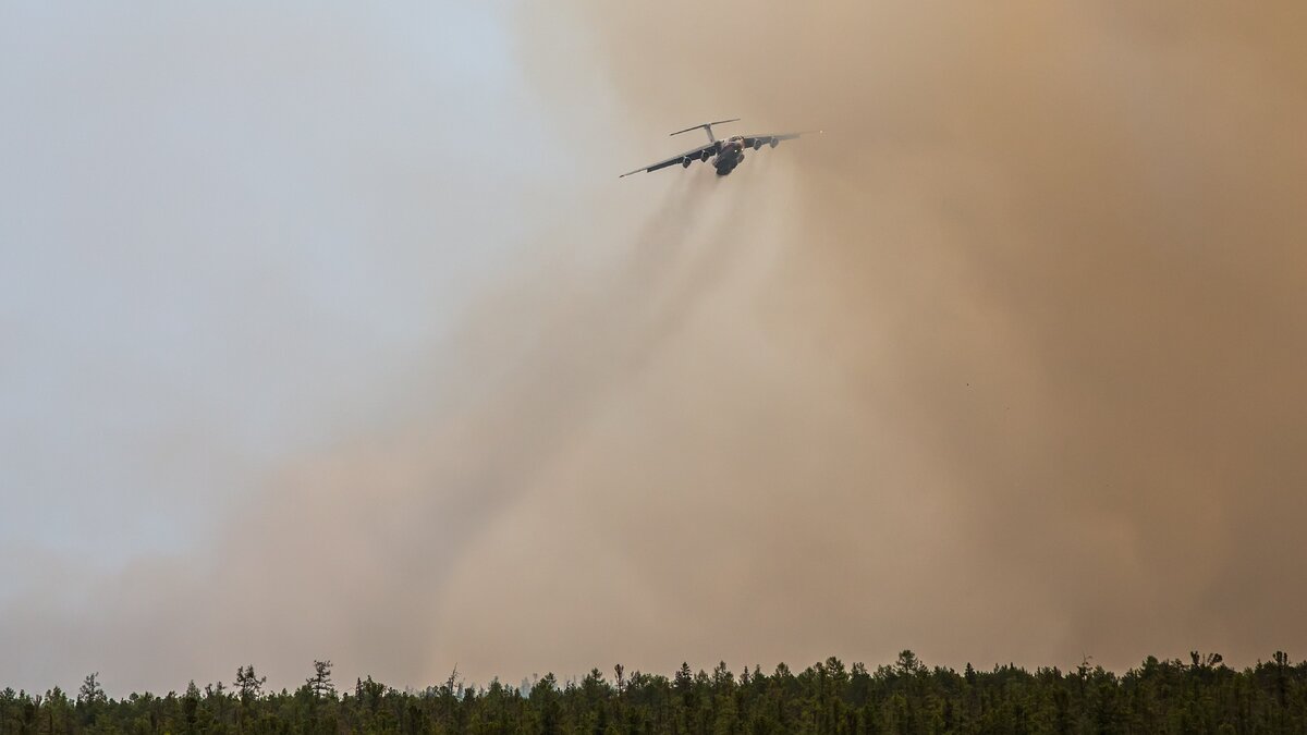    14 самолётов каждый день патрулируют югорскую тайгу