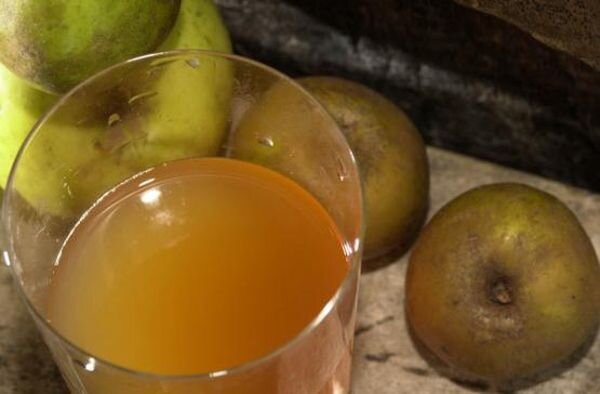 Источник фото: wikimedia