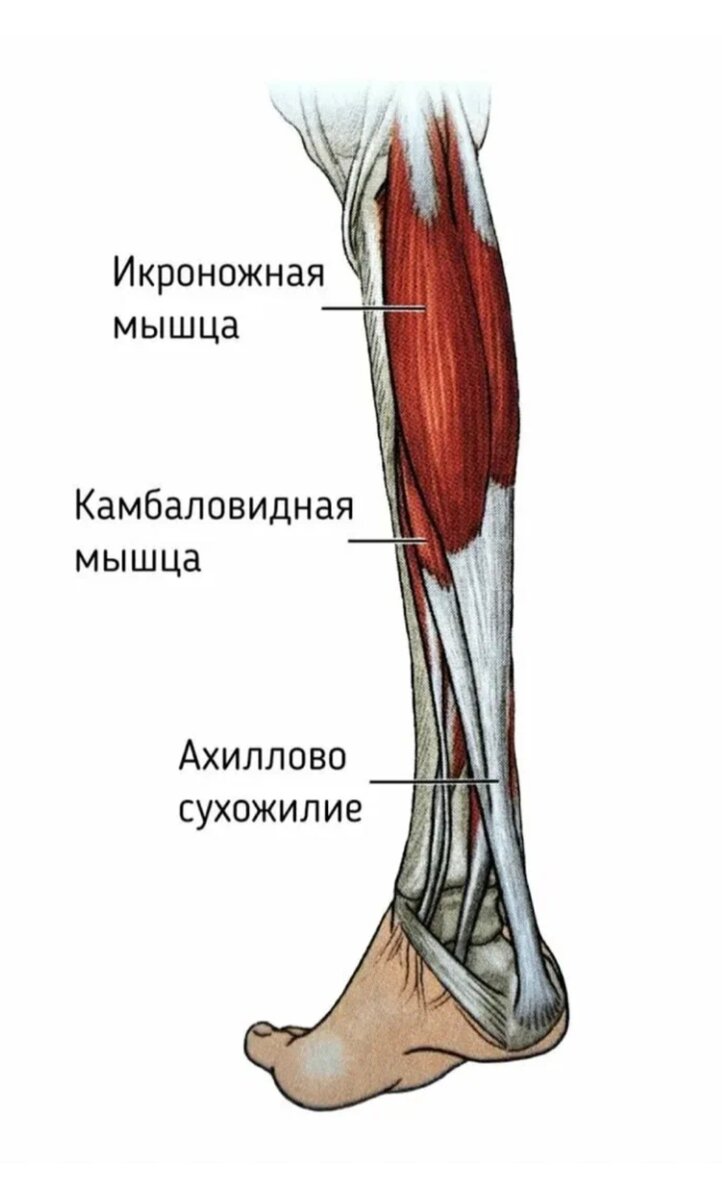 Почему немеют ноги и руки? - советы от клиники 