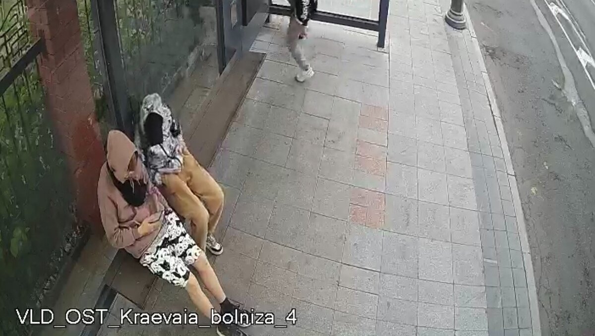     Подросток решил проверить «на прочность» остекление и оборудование остановочного павильона во Владивостоке. Сейчас проводится экспертиза для оценки ущерба.