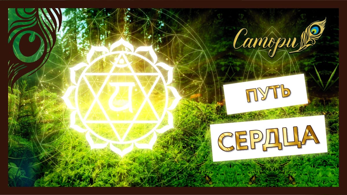 Хочешь реальных изменений в Жизни, а не Бла-бла-бла - подписывайся на мой телеграм-чат. Ссылка в конце статьи.