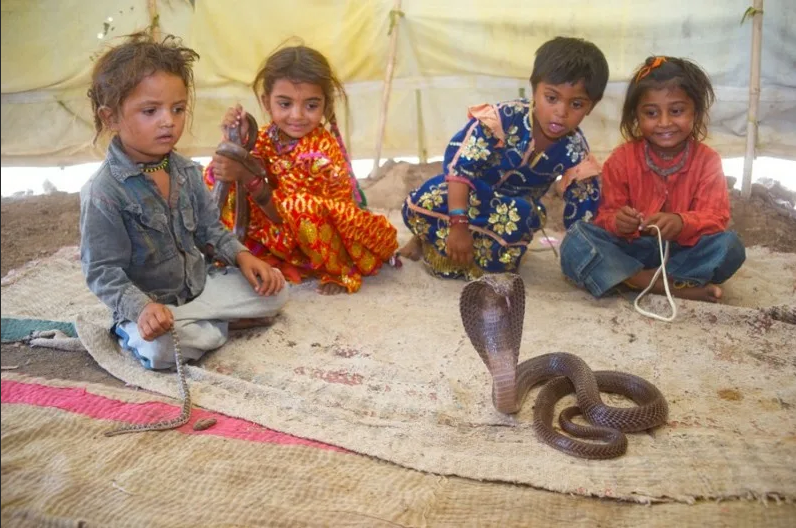 Indian village where children as young as two are taught to be snake charmers Da