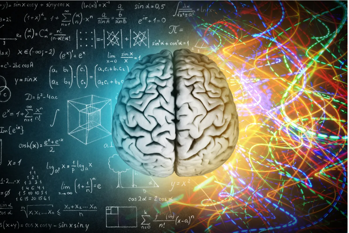Гений Эвариста Галуа- перенос решения сложных задач по математике в область глубокого абстрактного мышления. Абстрактное мышление человека происходит в неокортексе- самой большой части мозга человека, покрывающий два полушария головного мозга