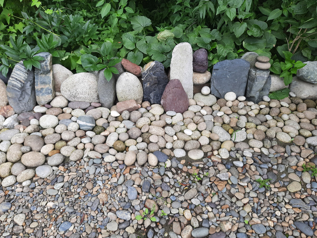 один из садиков