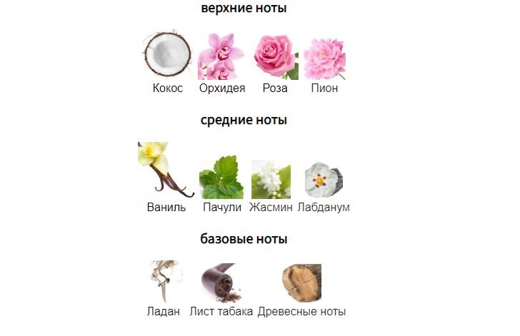 fragrantica.ru