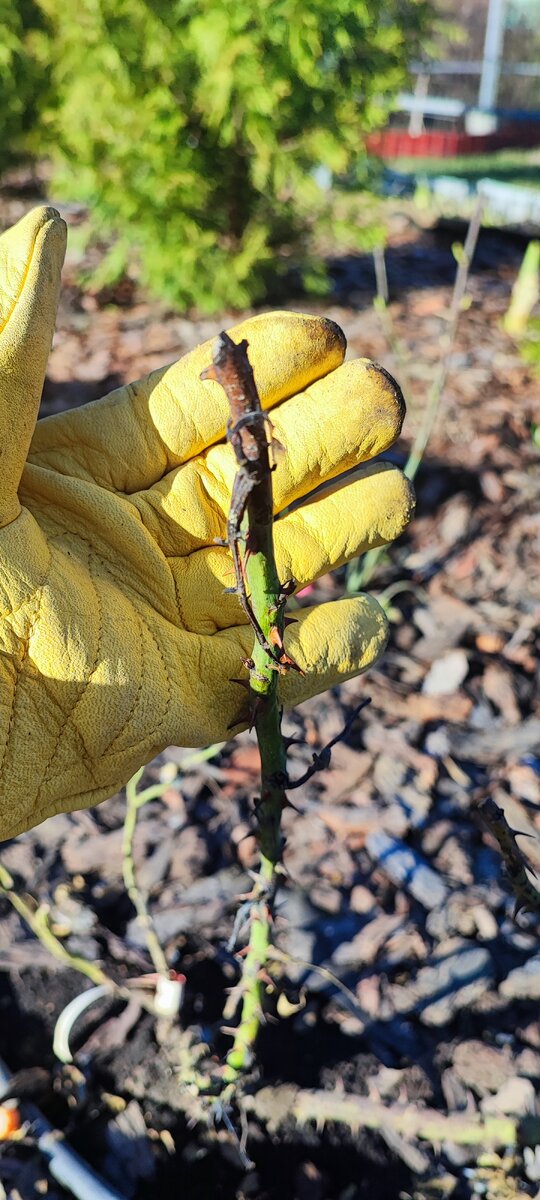 тут тоже нестрашно, почикаем