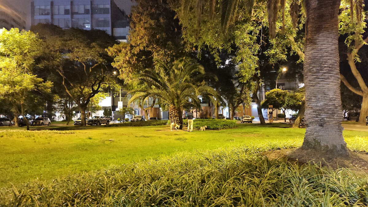 Парк с фонтаном