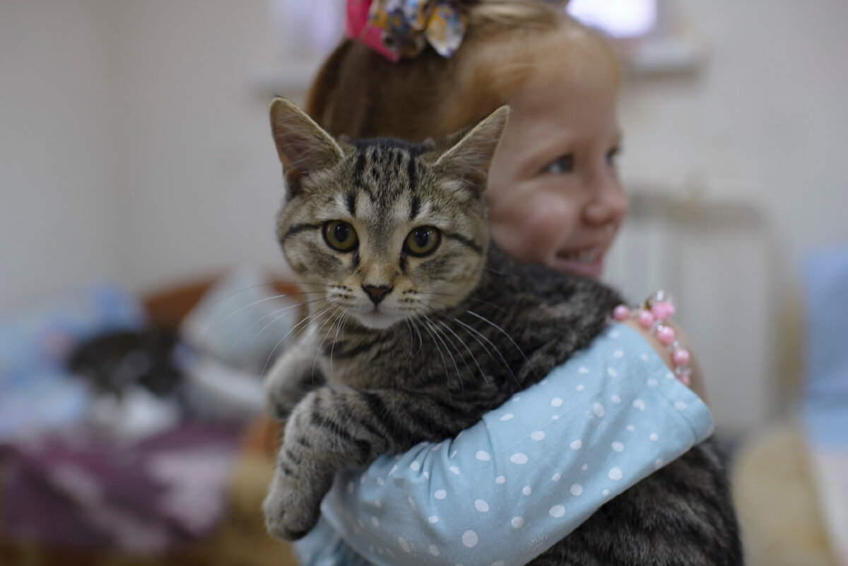 Крис еще в приюте