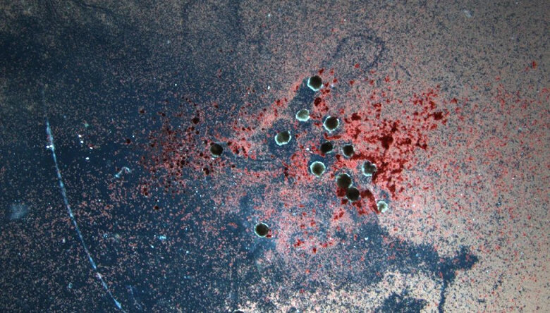 Источник: Science Focus