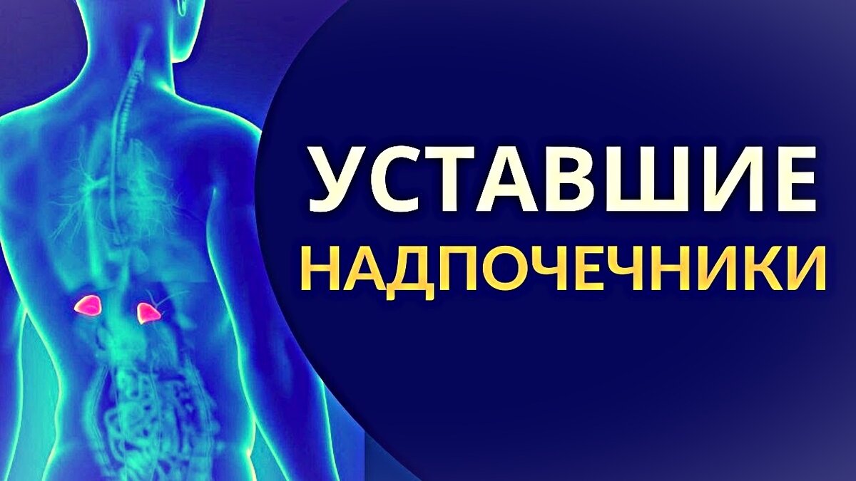 Чувство усталости, проблемы со сном. Это недостаточность надпочечников. 5  основных симптомов и 5 правил профилактики. | Даниил Богданов. Кумиром  должен быть ты! | Дзен