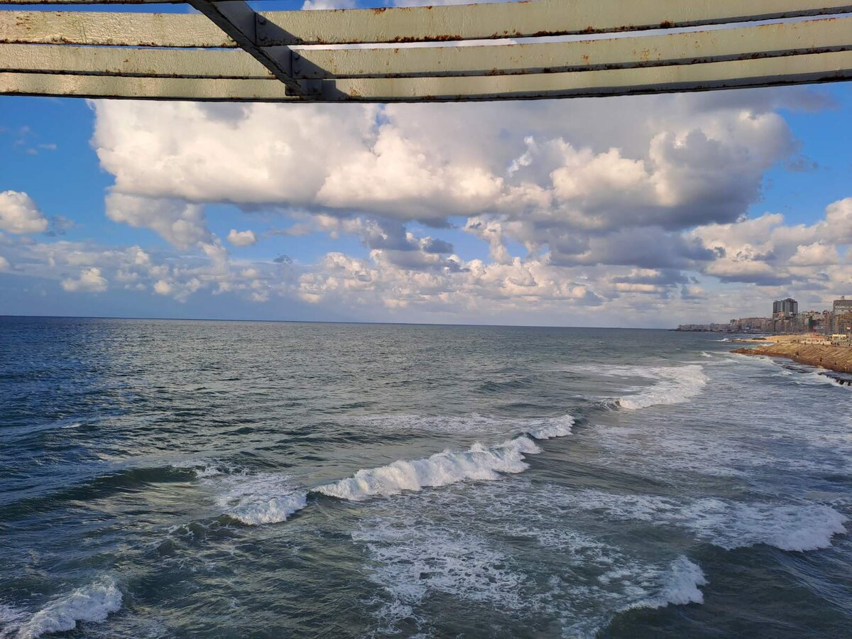 Я 24 года назад приехал в США молодым и красивым. Жил на минимуме ...