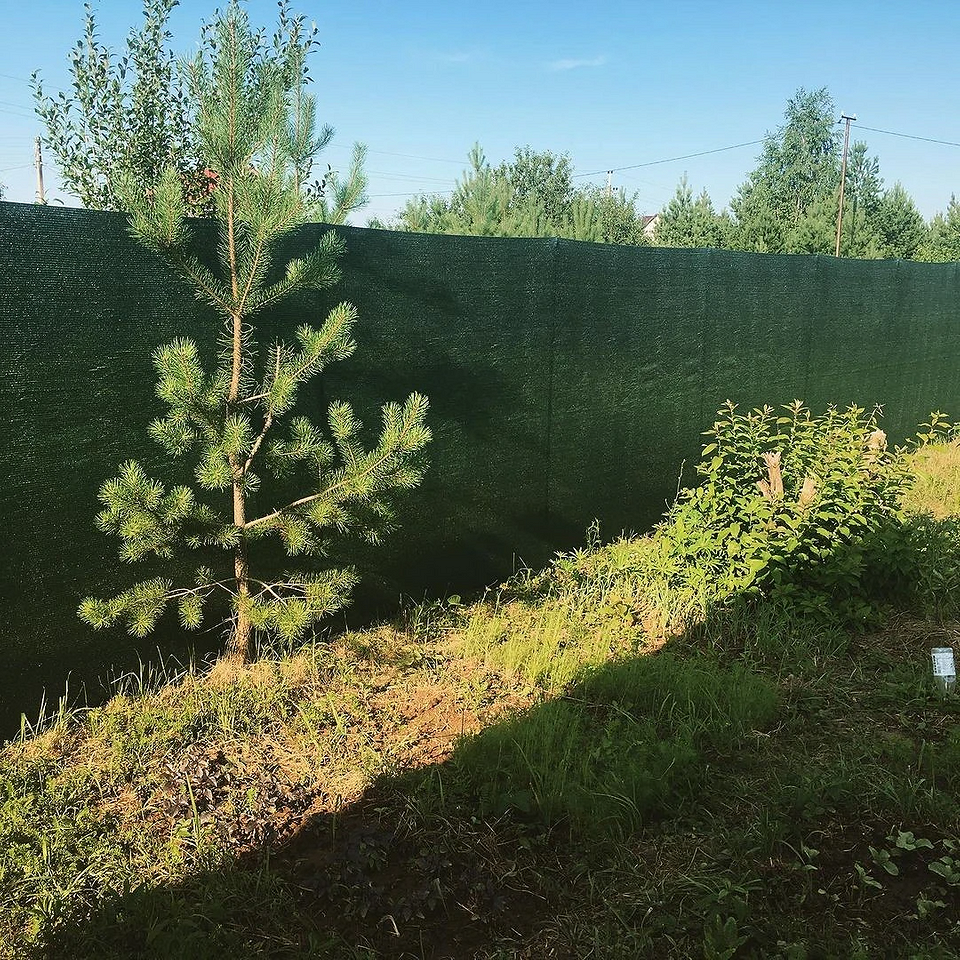    Соцсети блогера alyonka_ogorodnitsa