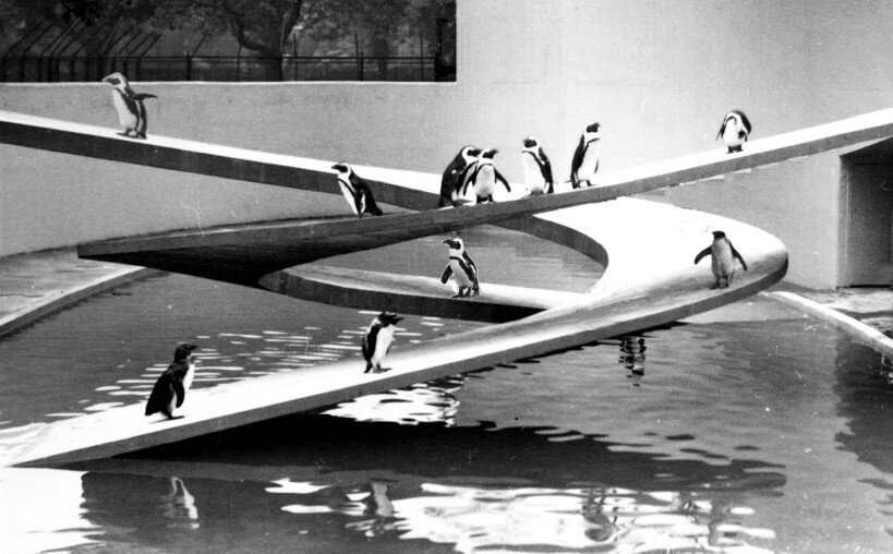 «Бассейн для пингвинов» Зоопарк. Лондон. 1934 год. Архитектор Б. Любе́ткин