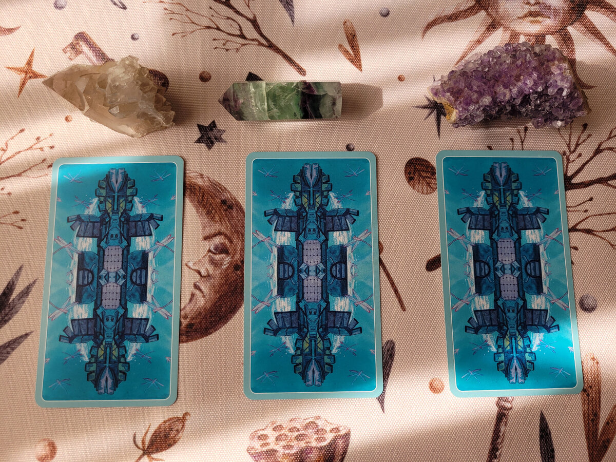 Фото сделано автором канала. 