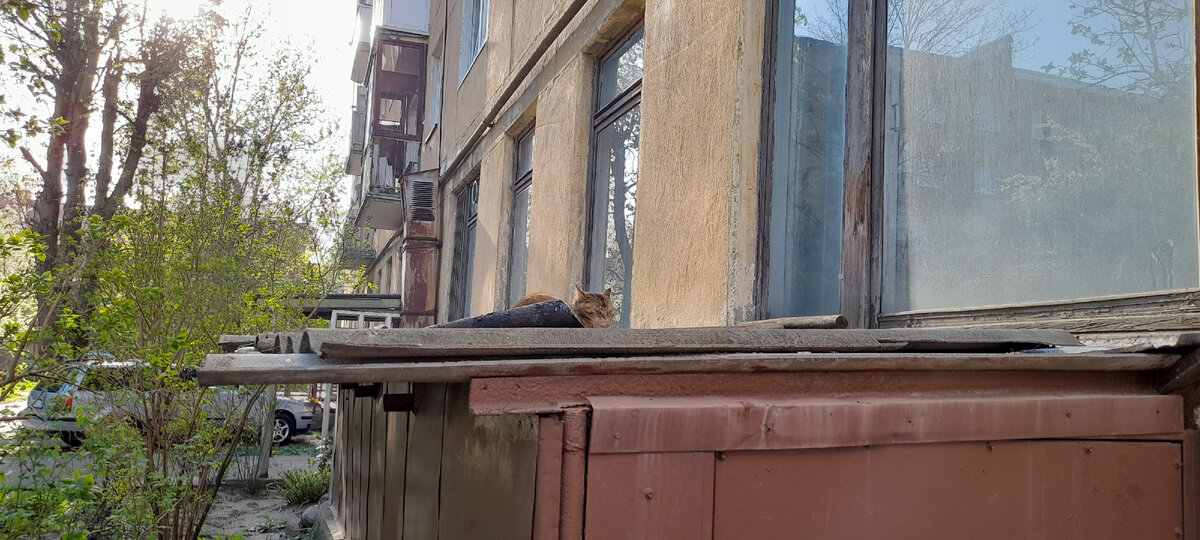 Вот такой дом, а там кот)))