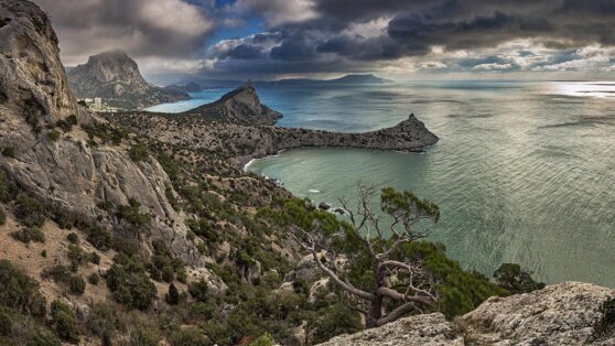    Жителей Крыма предупредили о заморозках Алина Городниченко