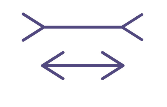 Иллюзия Мюллера-Лайера